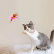 Juguete para gato | ColiPlume™