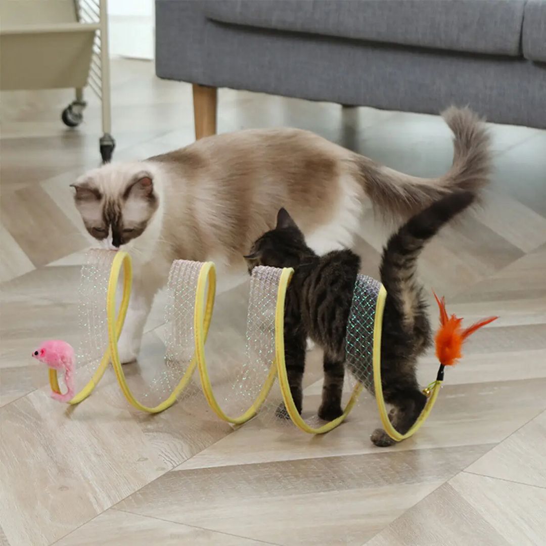 Juguete para gato | PurrSpring™