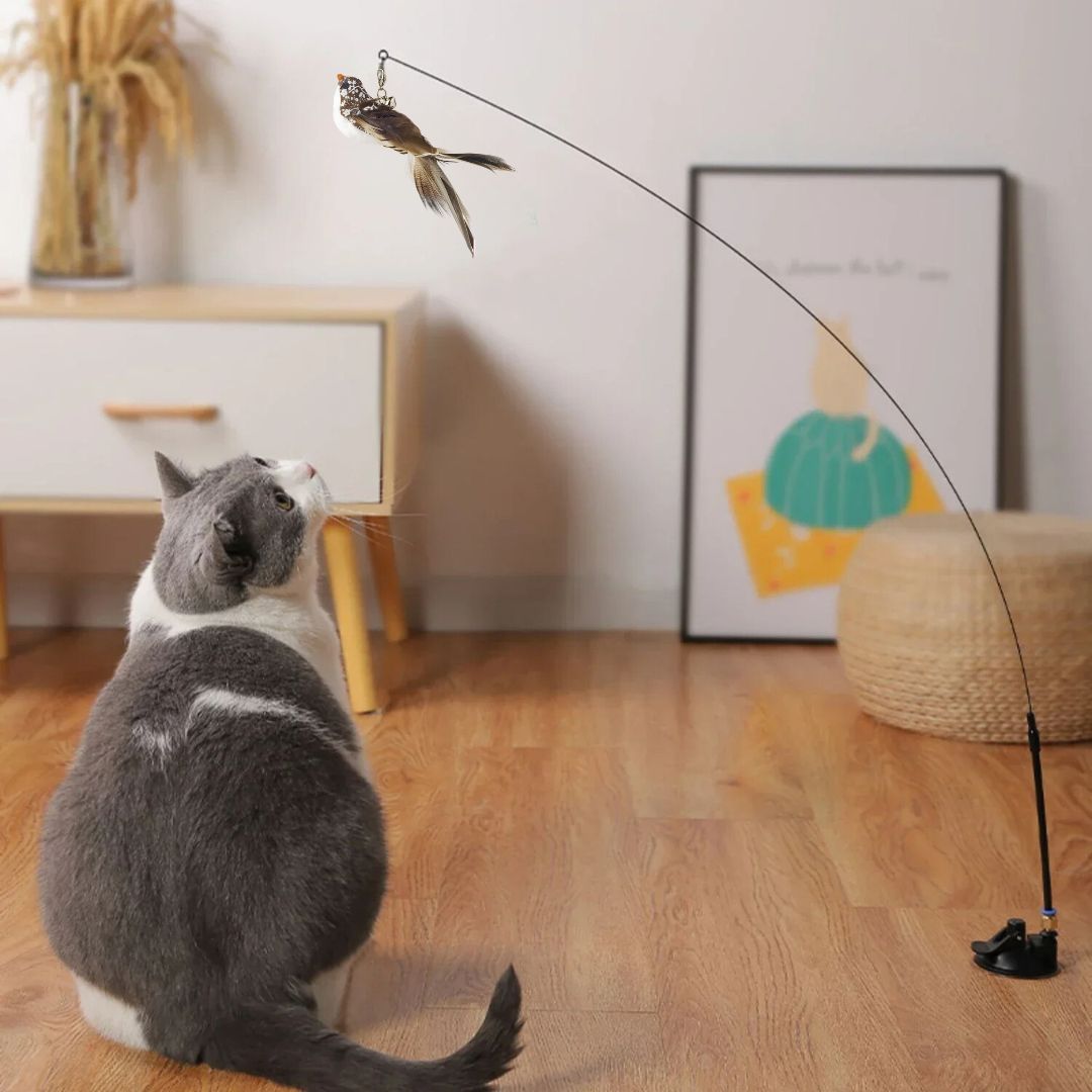 jouet-pour-chat-assis.jpg