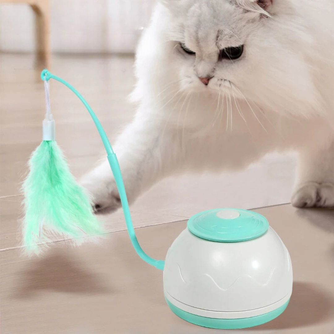 Juguete para gato | CrazyPlume™