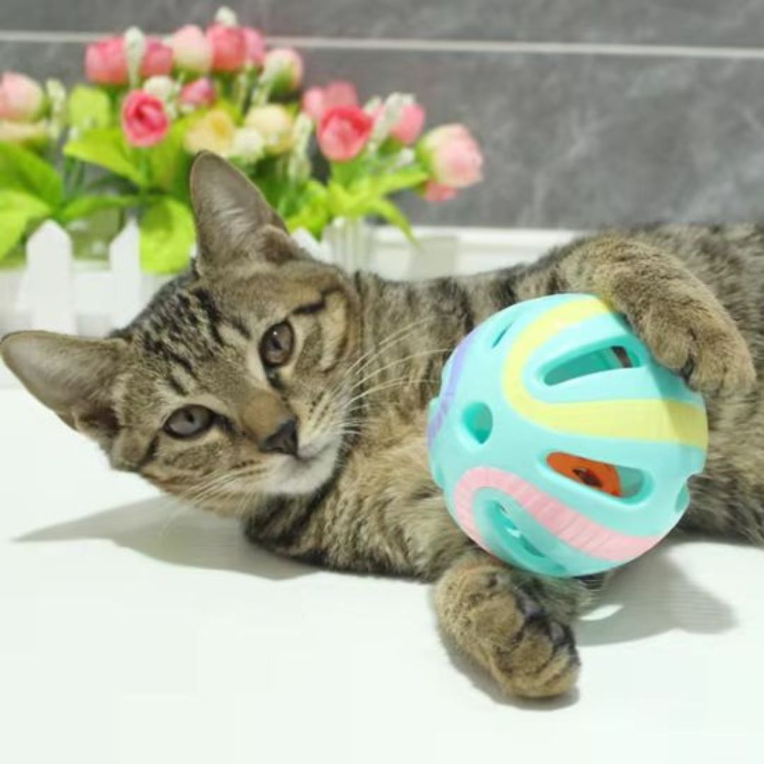 jouet-pour-chat-attrape_28ff909e-9bd5-469d-8bb5-9006e0cd9397.jpg