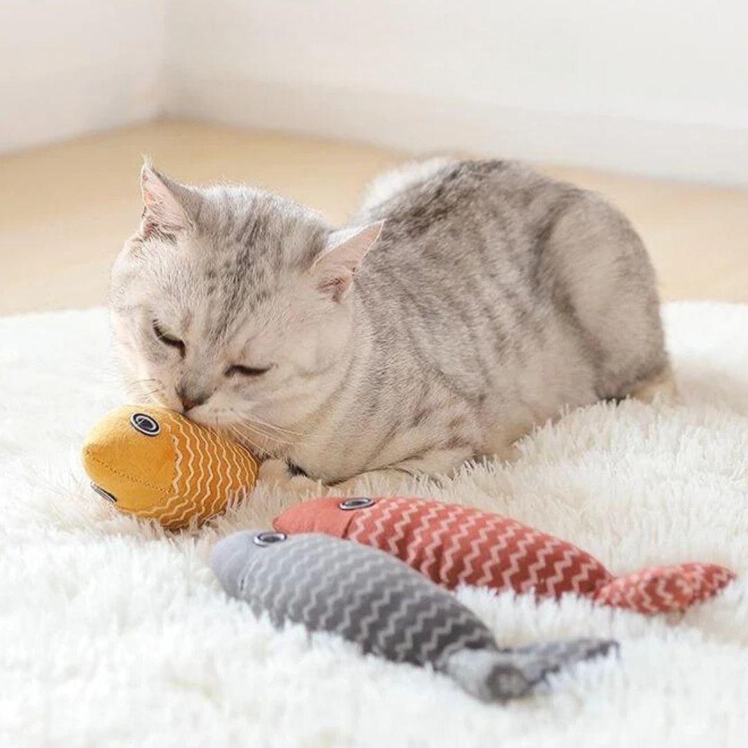 jouet-pour-chat-attrayant.jpg