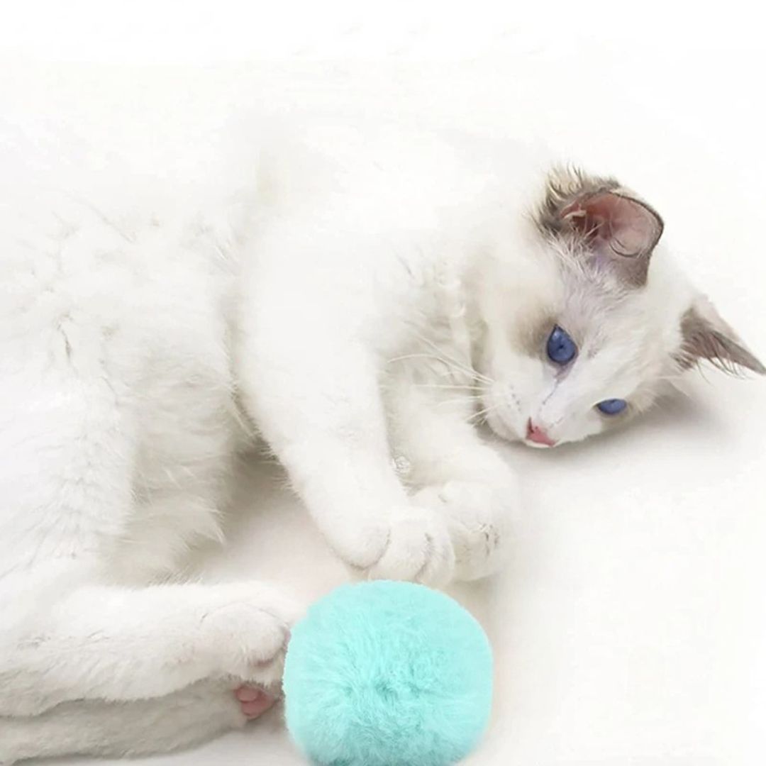 Juguete para gato | JouFélin™