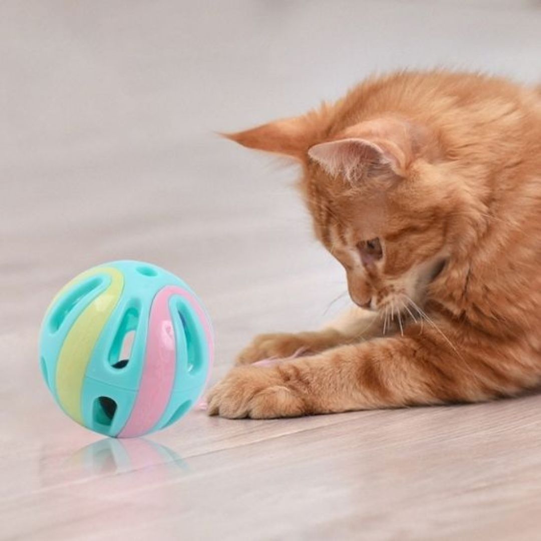 jouet-pour-chat-balle_37934d31-b028-4d77-9211-74dc016d0c2a.jpg