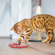 Juguete para gato | FéliSnake™