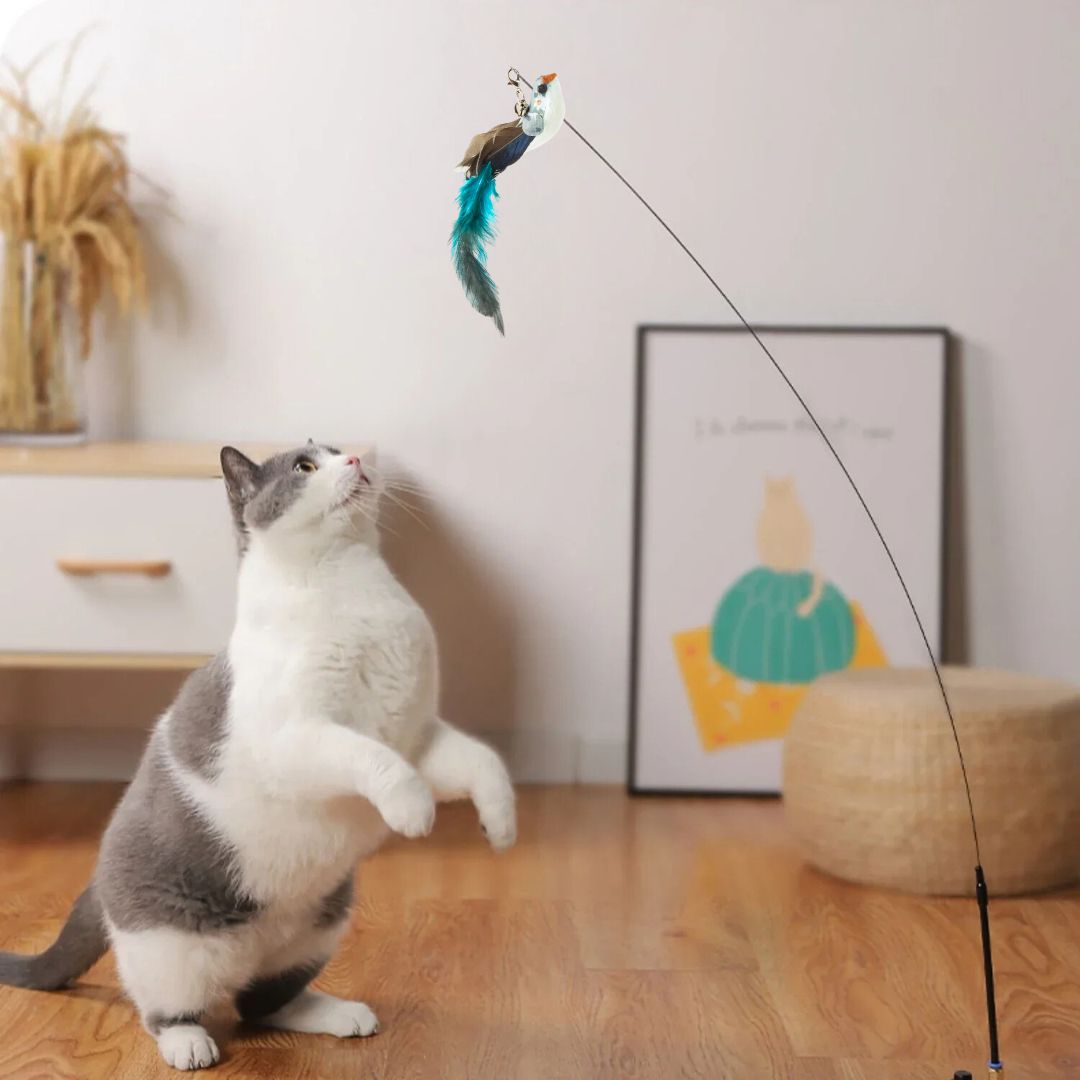 jouet-pour-chat-bondir.jpg
