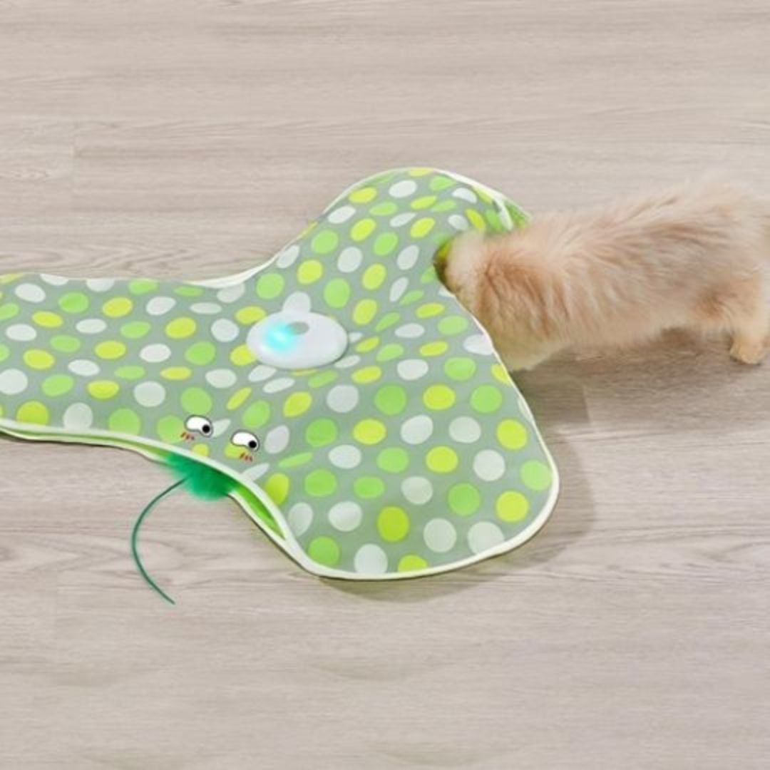 Juguete para gato | PawFiesta™