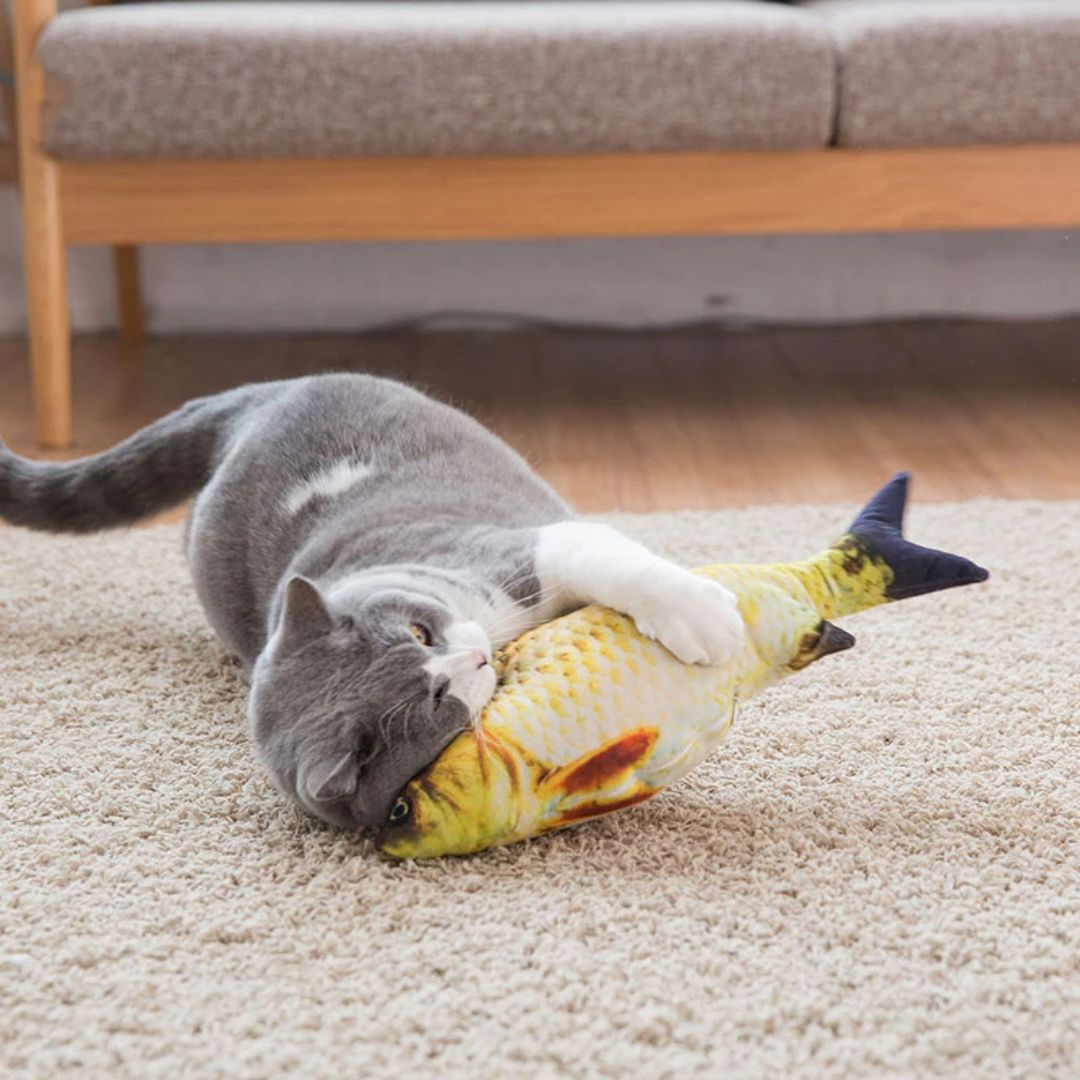 jouet-pour-chat-calin.jpg