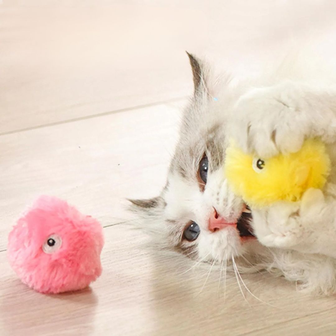 Juguete para gato | JouFélin™