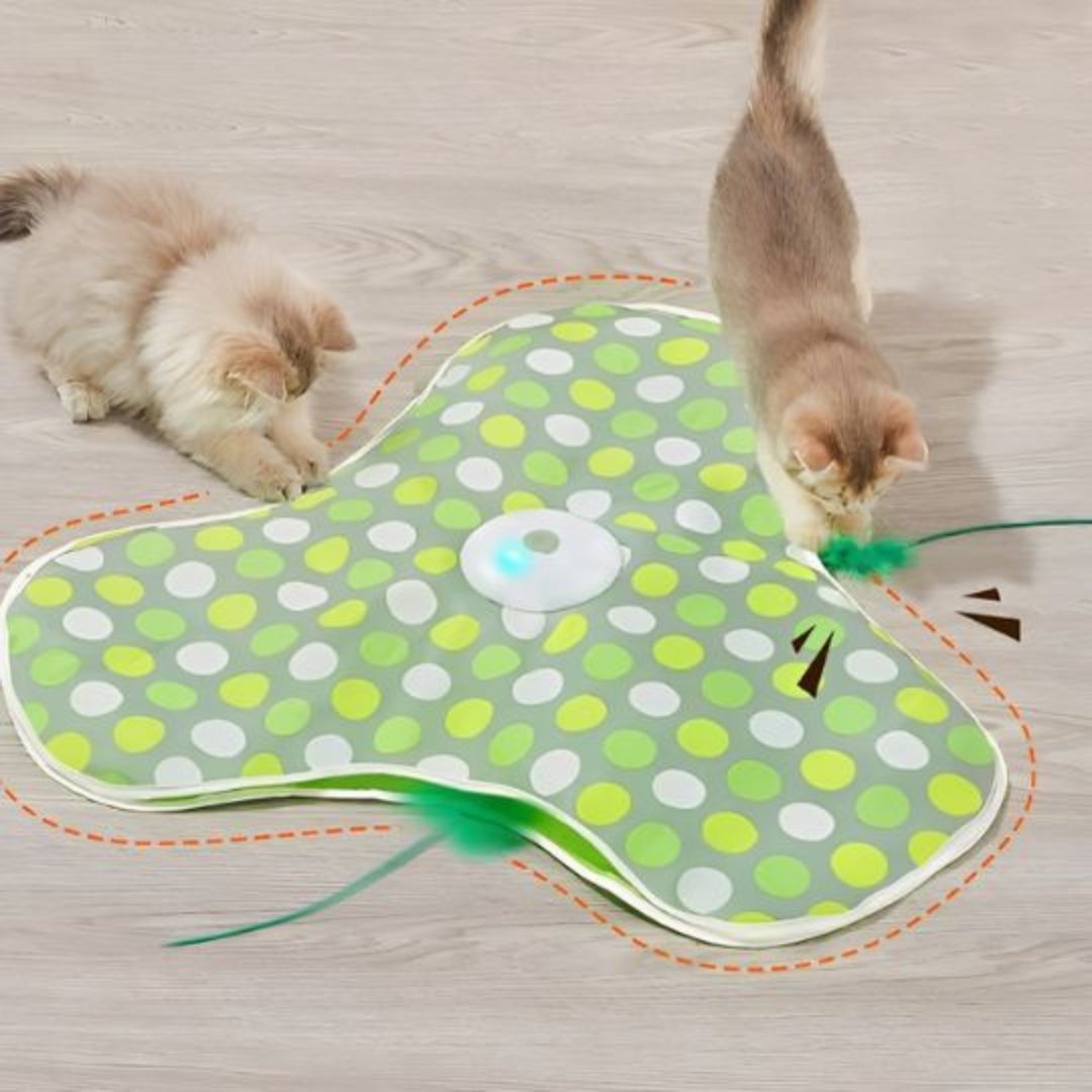 jouet-pour-chat-chasse_92e7d01a-a337-47d2-93b1-cc54c459e8a9.jpg