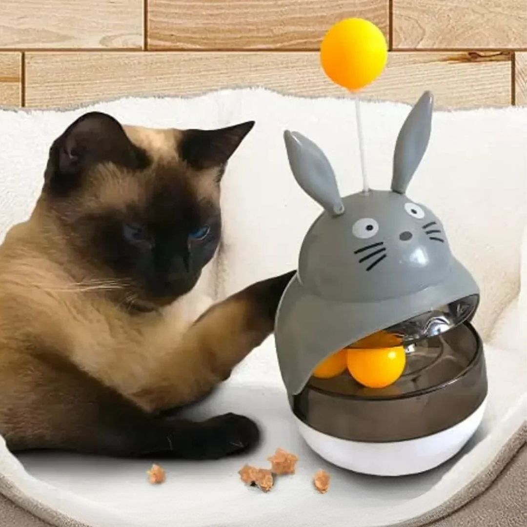 Juguete para gato | CroqPlay™
