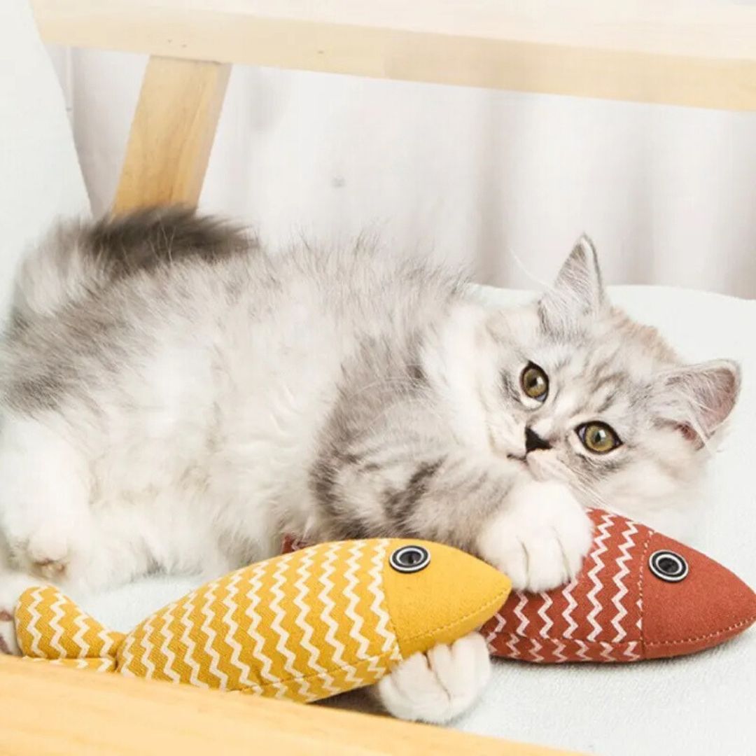 jouet-pour-chat-coucher.jpg