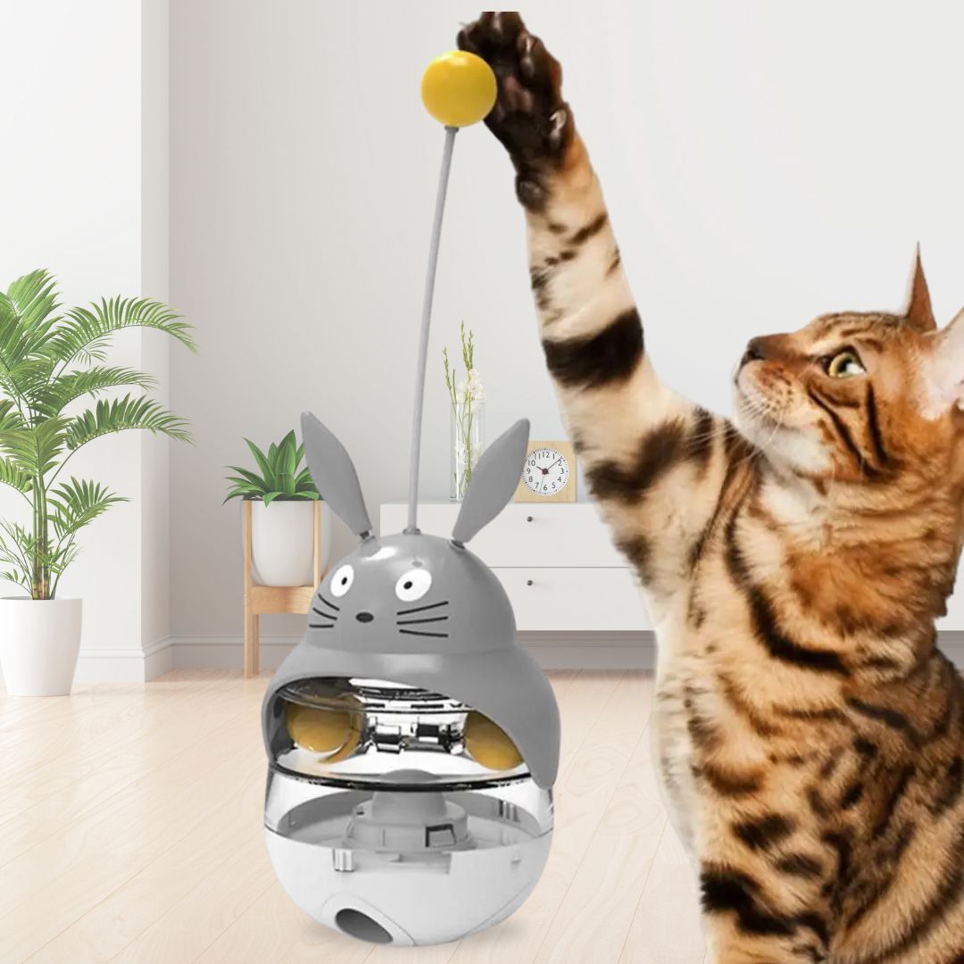 jouet-pour-chat-croqplay.jpg