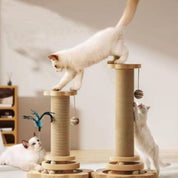 Juguete para gato | LudiGriff™
