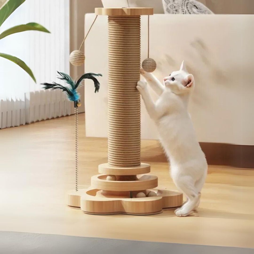 jouet-pour-chat-griffoire.jpg