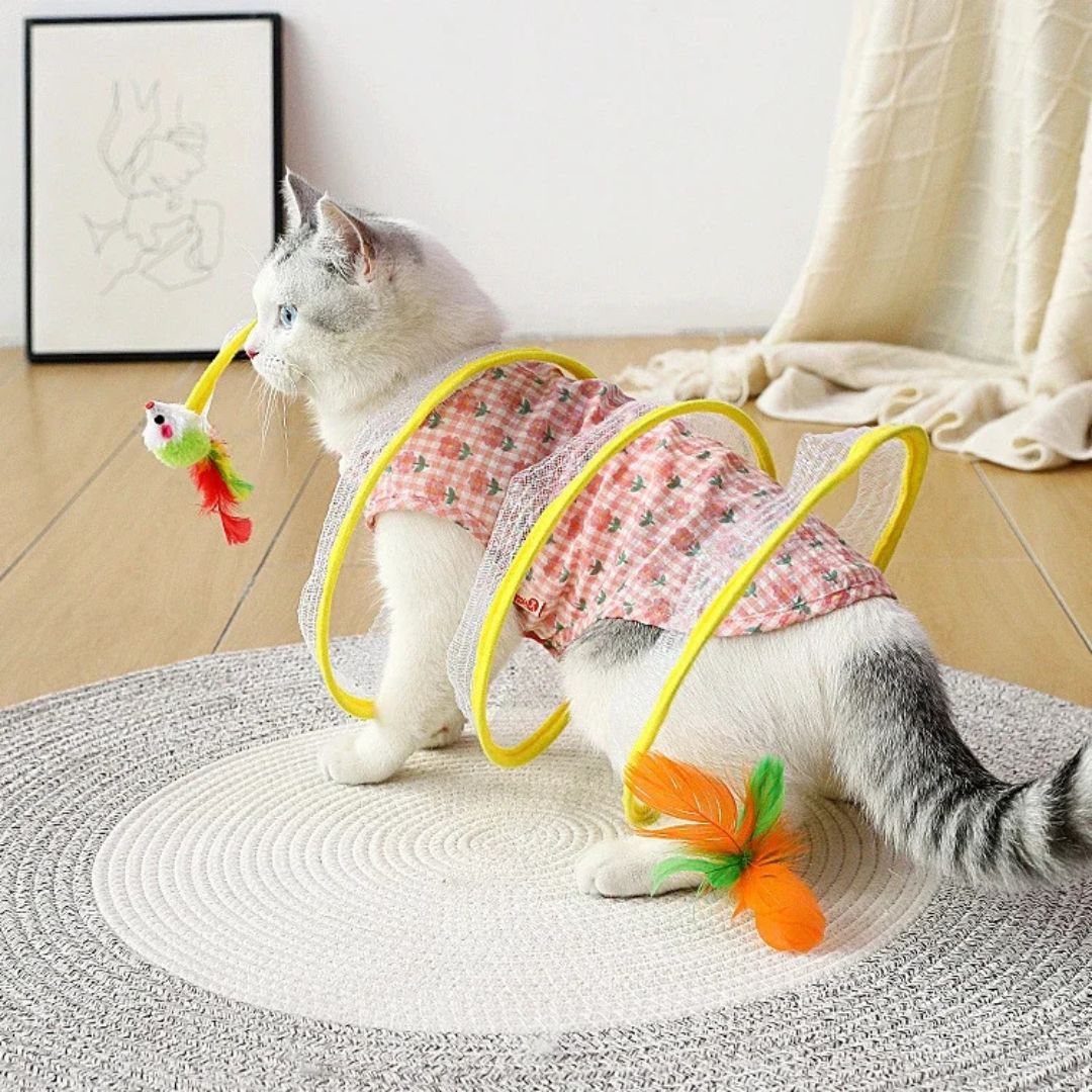 jouet-pour-chat-interieur.jpg