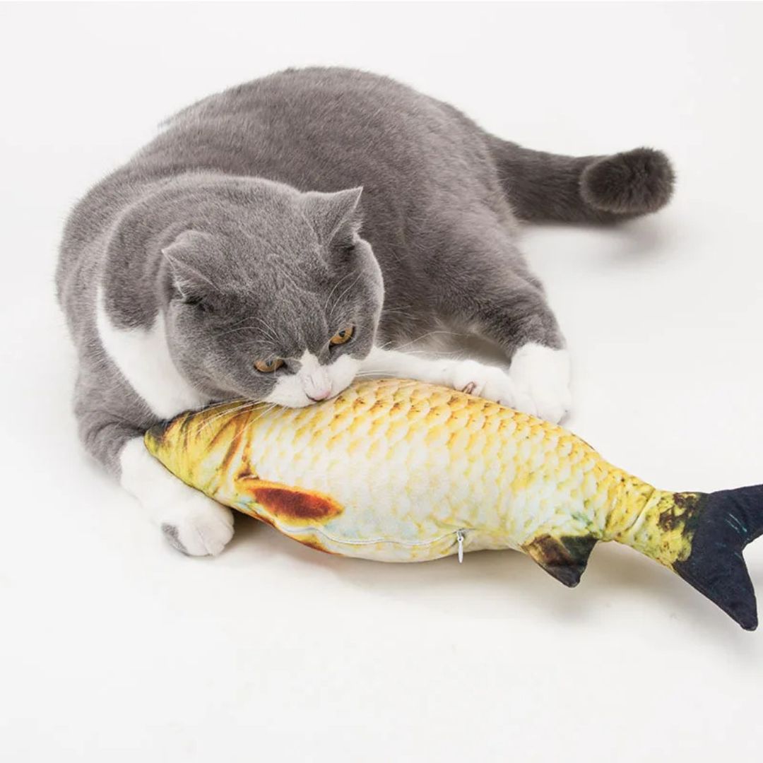 Juguete para gato | FishyFun™