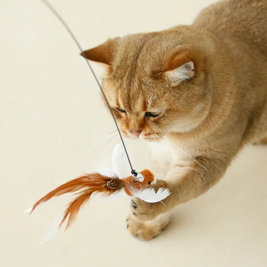 Juguete para gato | TrappBird™