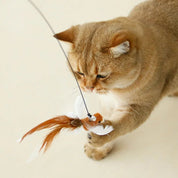 Juguete para gato | TrappBird™
