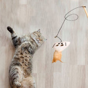 Juguete para gato | KittyPlay™