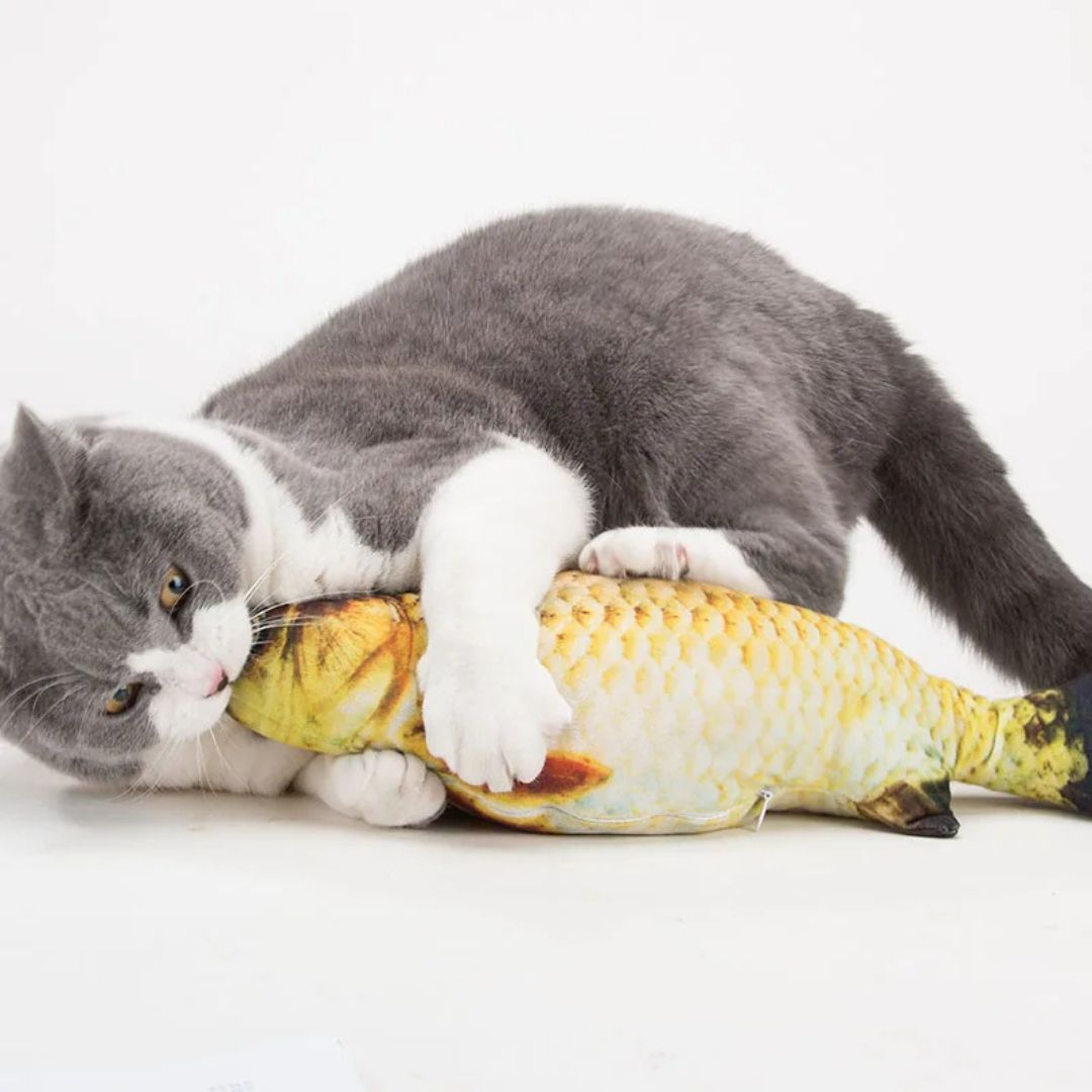 Juguete para gato | FishyFun™