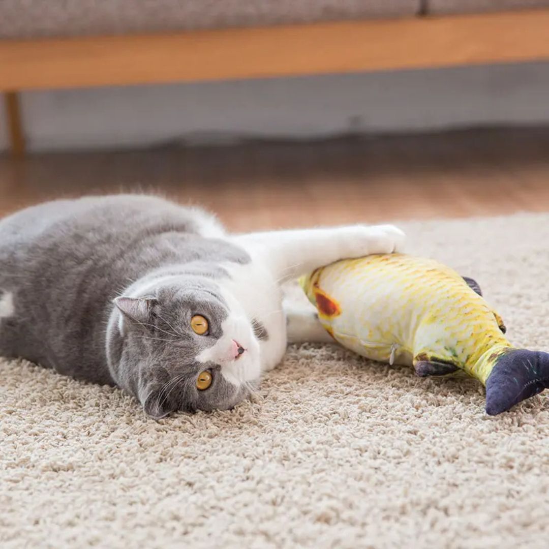 Juguete para gato | FishyFun™