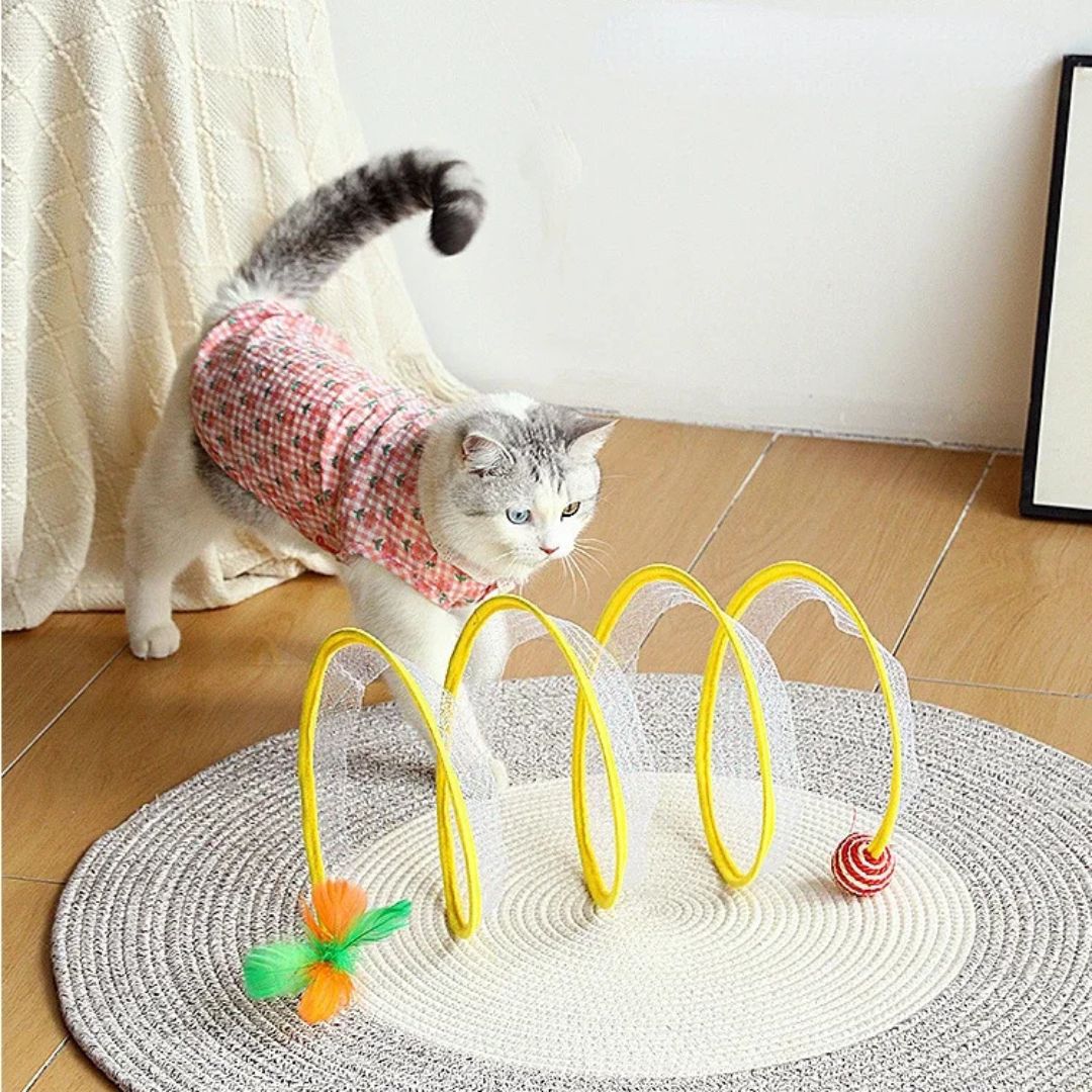 jouet-pour-chat-regard_940337d9-a4a4-42f6-8bda-38de58784195.jpg