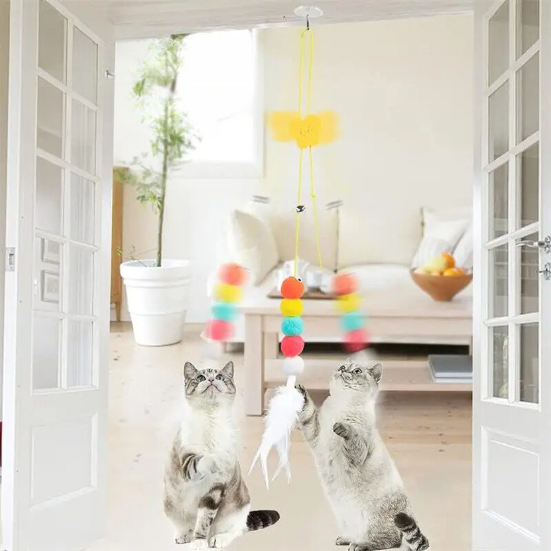 jouet-pour-chat-salon.jpg