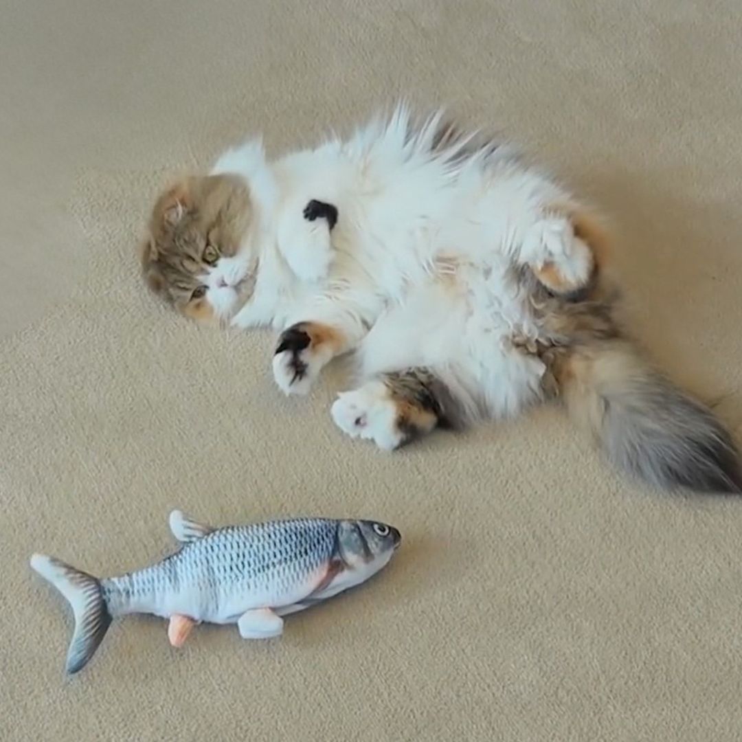 Juguete para gato | FishyFun™