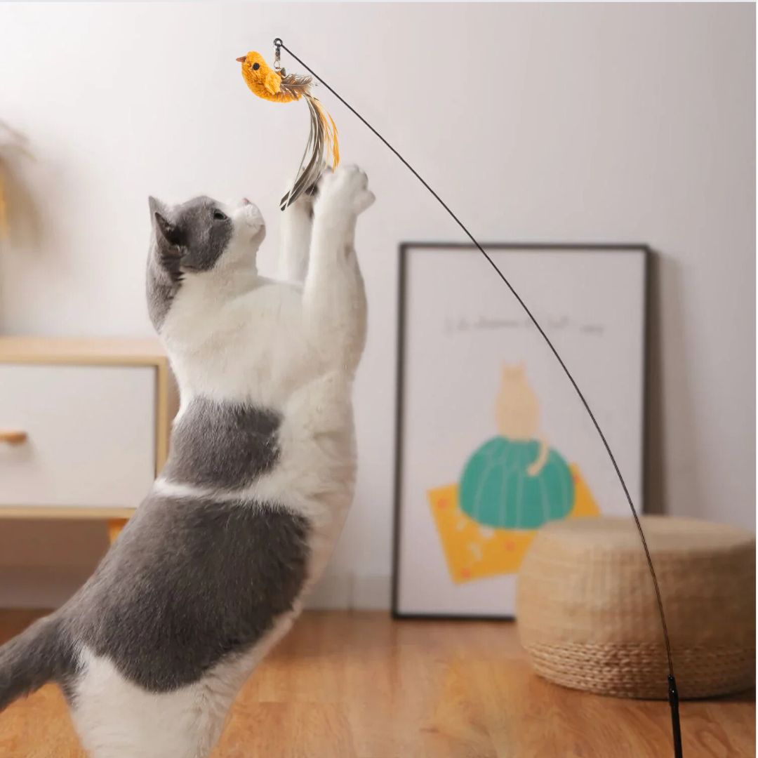 Juguete para gato | TrappBird™