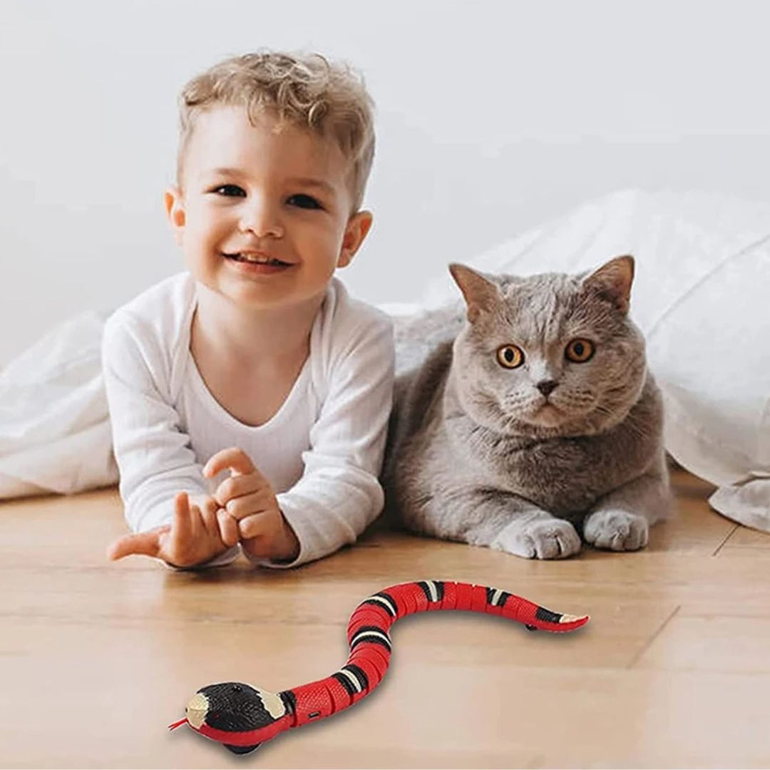jouet-pour-chat-serpent_385c1bf7-2589-4f9c-a1cd-50c5ea51bbdd.jpg