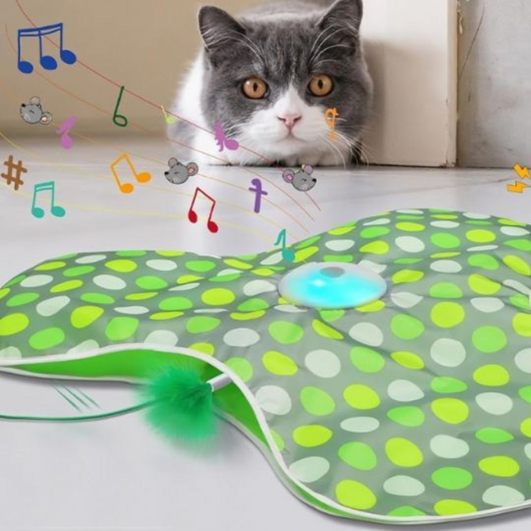jouet-pour-chat-son_d692587d-43fc-400f-9cb8-32902cc59b2b.jpg