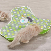 Juguete para gato | PawFiesta™