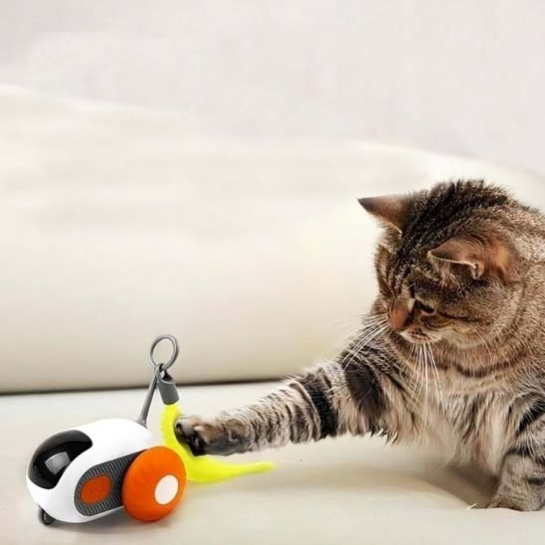 Juguete para gato | PurrChase™