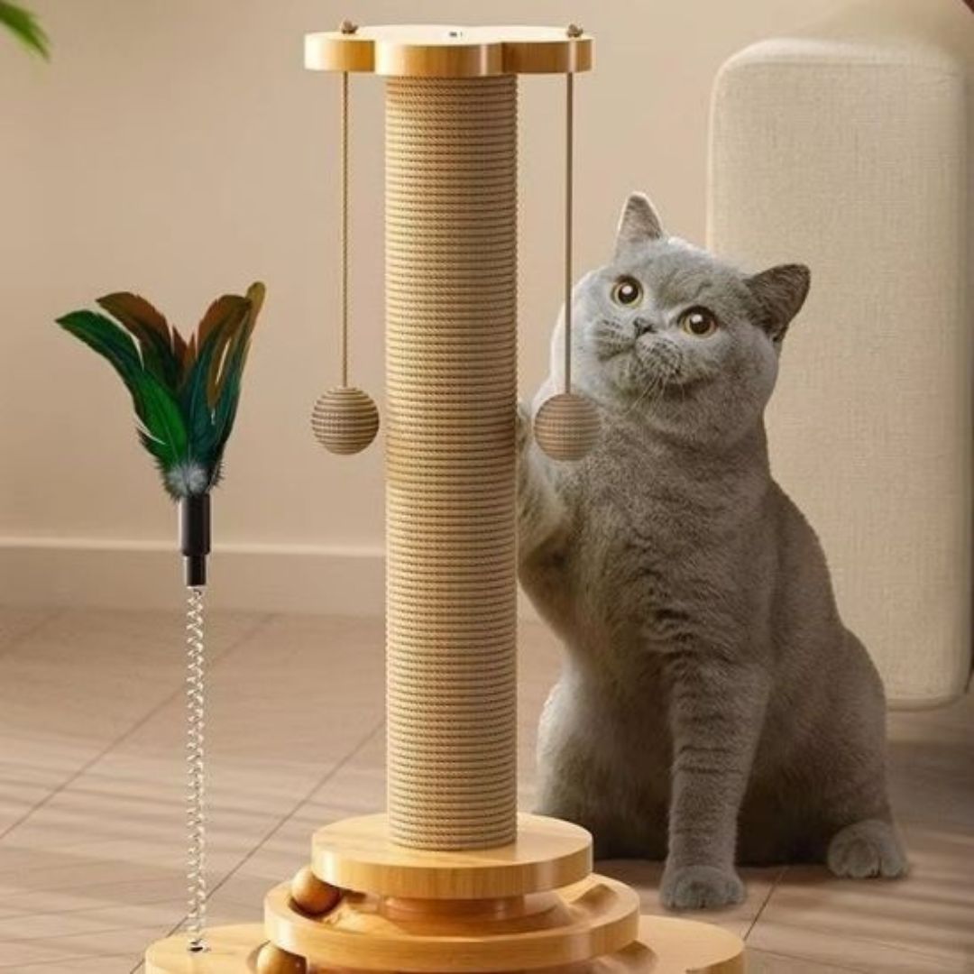 Juguete para gato | LudiGriff™