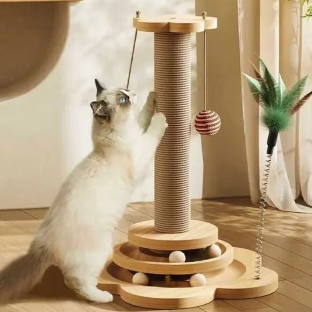 Juguete para gato | LudiGriff™