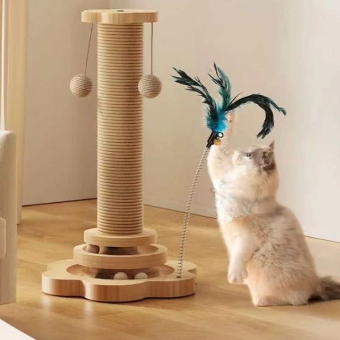 Juguete para gato | LudiGriff™