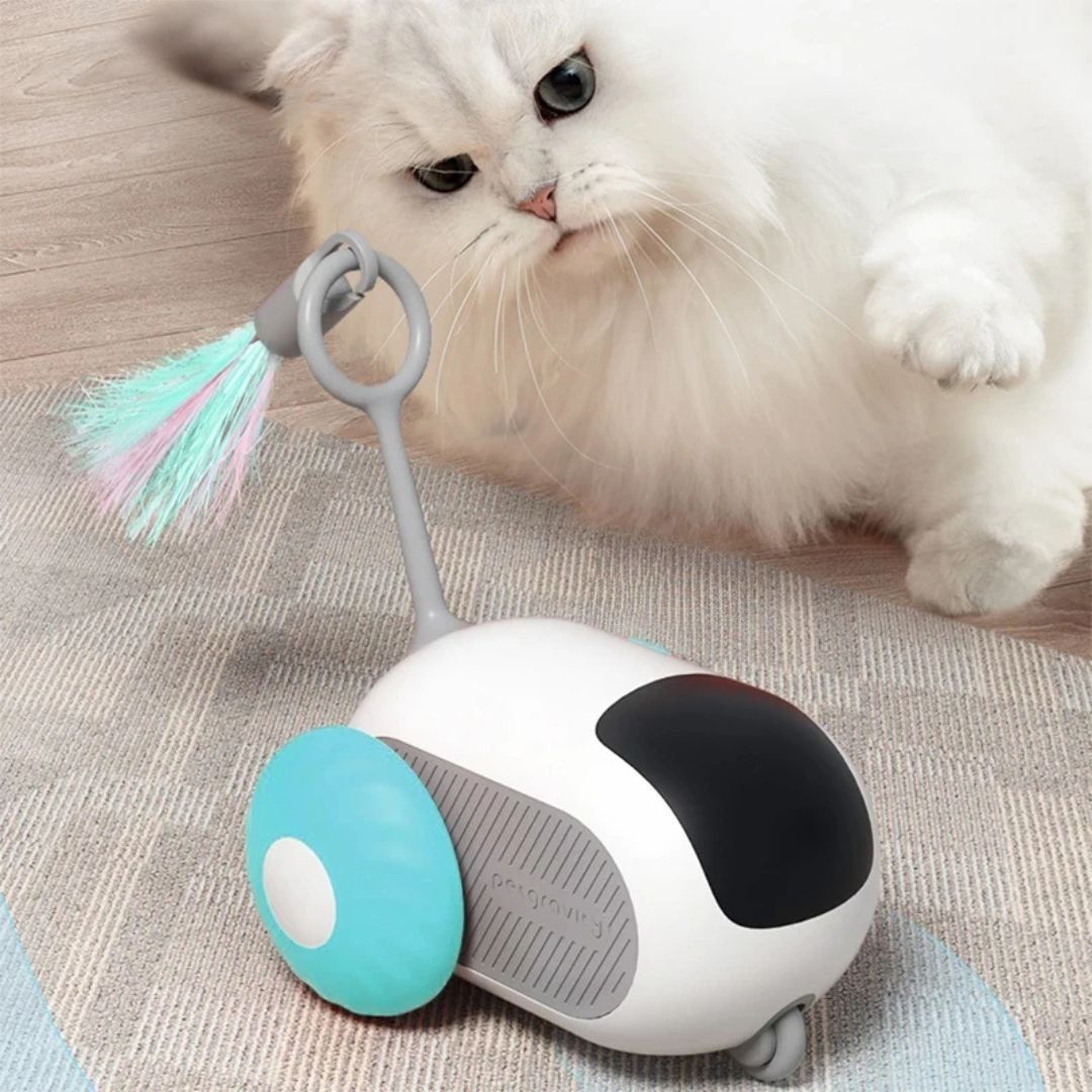 Juguete para gato | PurrChase™