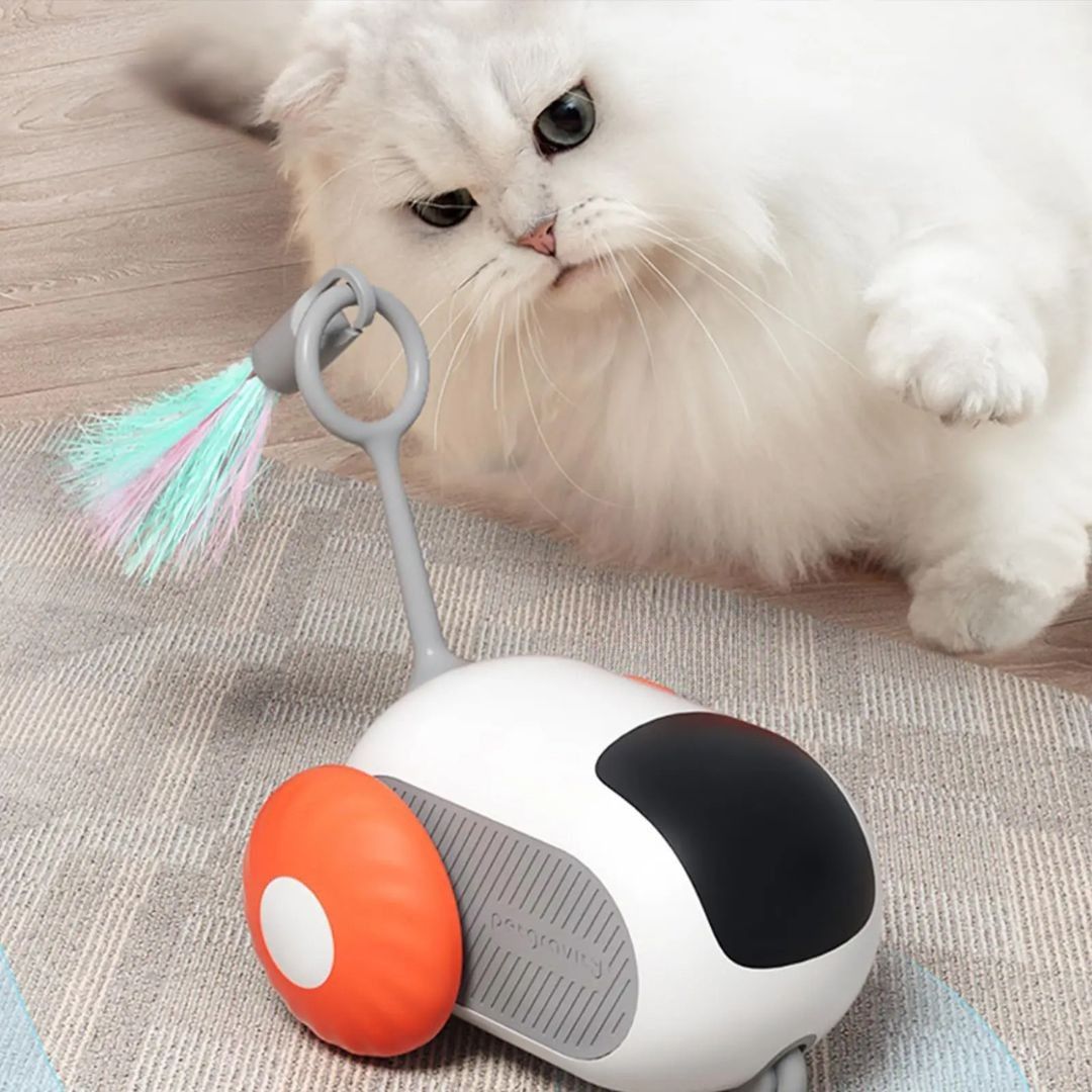 Juguete para gato | PurrChase™