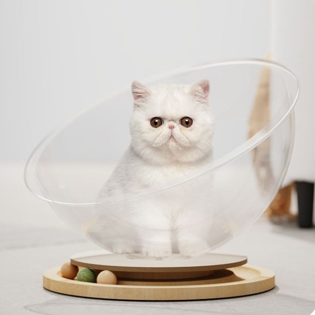 Cama para gato | BowlNest™