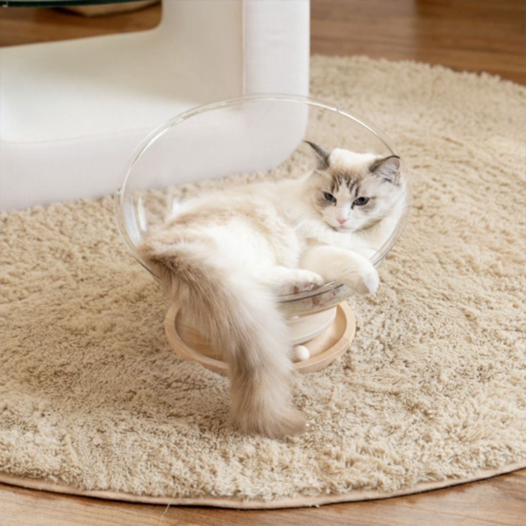 lit-pour-chat-bol.jpg