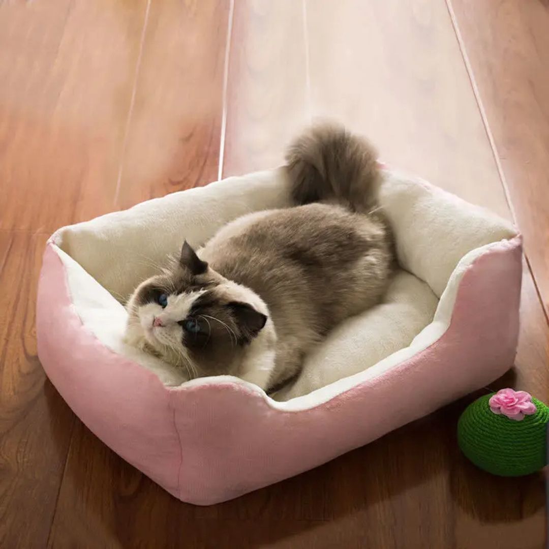 Cama para gato | PurrDream™