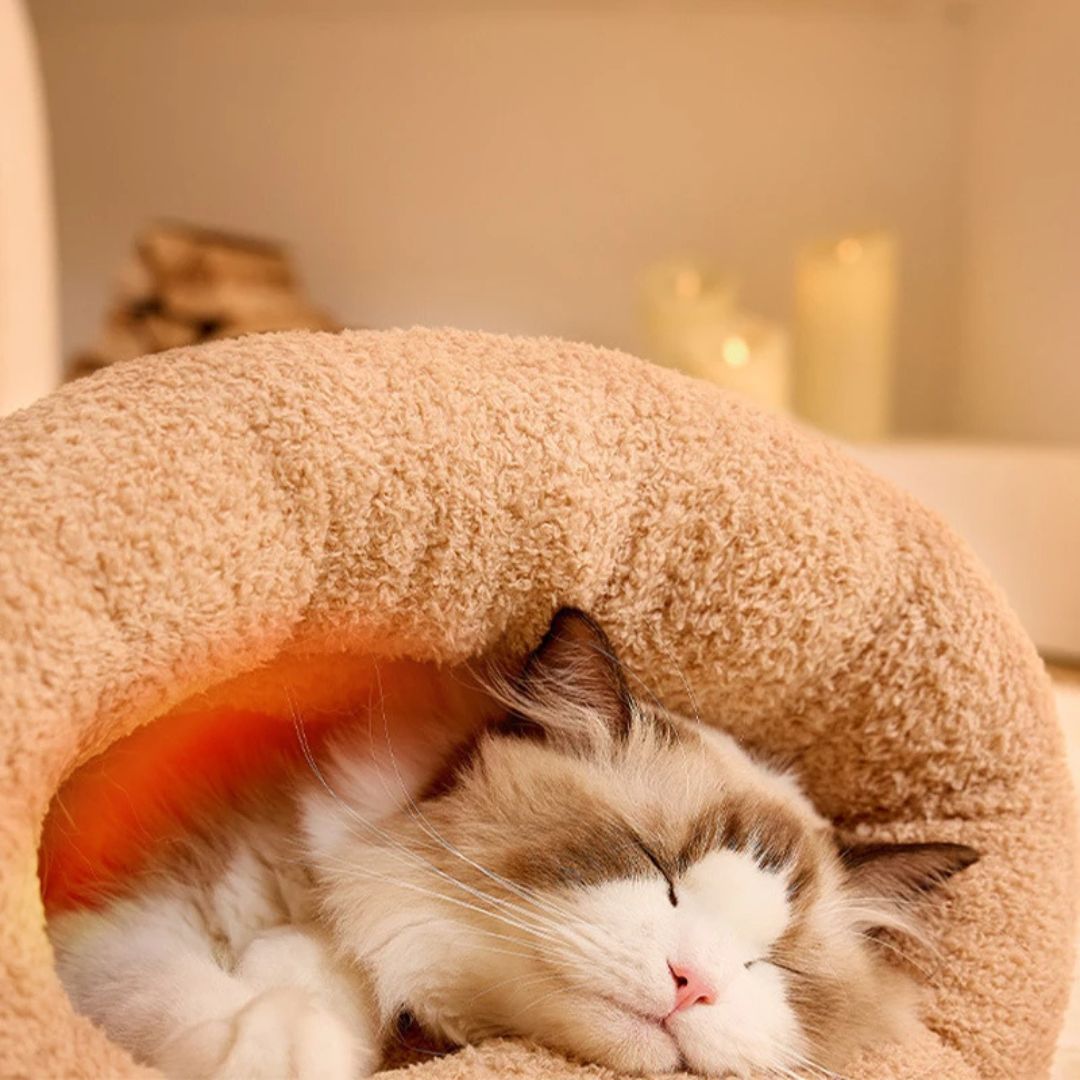 lit-pour-chat-bonheur_30848941-4a56-4c16-9495-3f6d00fe03a7.jpg