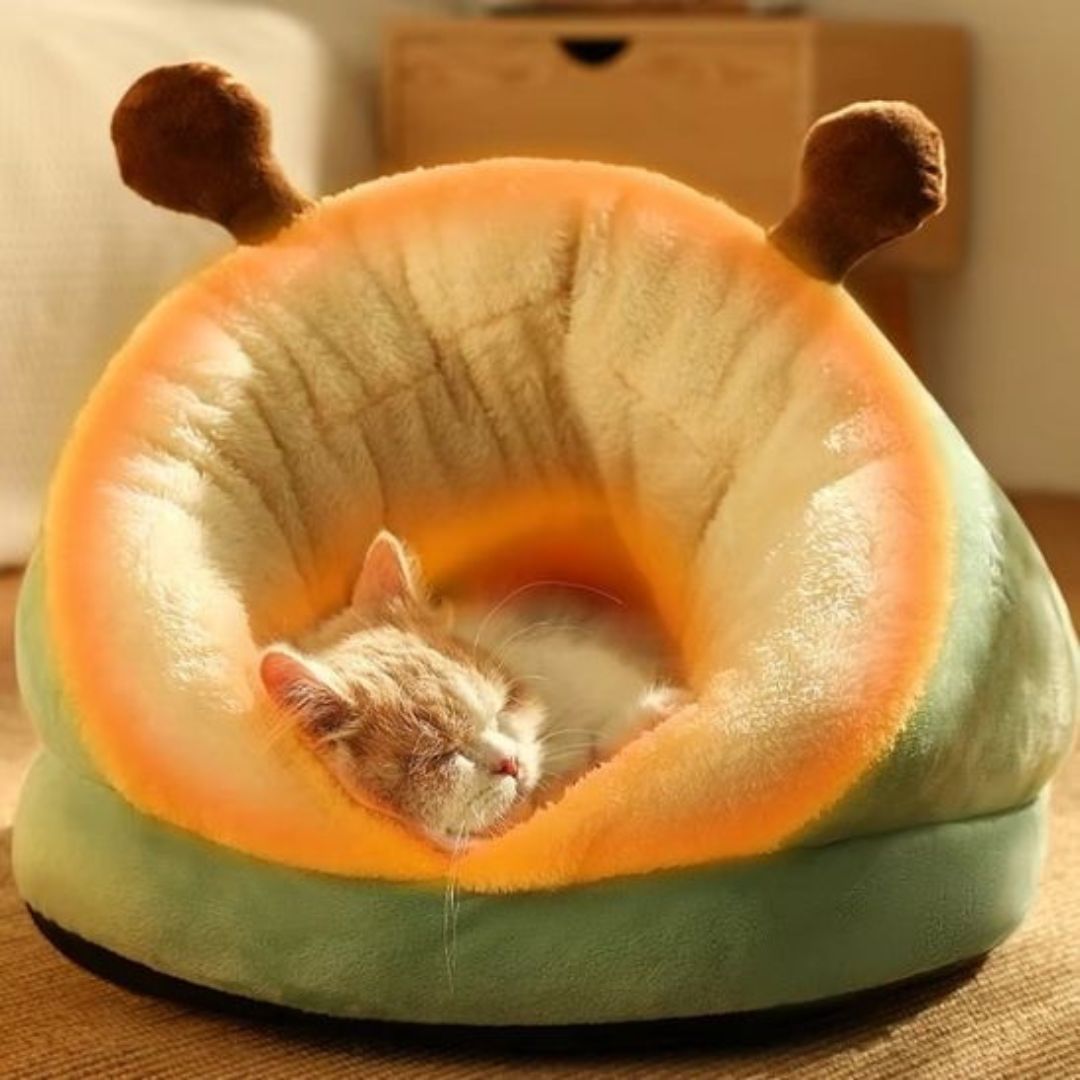 lit-pour-chat-chaleur_f210d16f-95c5-4af3-981d-7fd7bc57b2e2.jpg