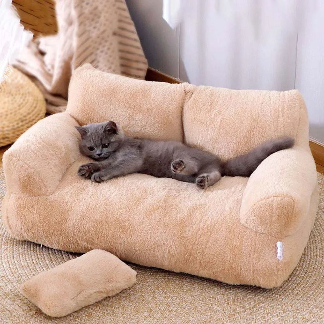 Lit pour chat | ZenCanapé™