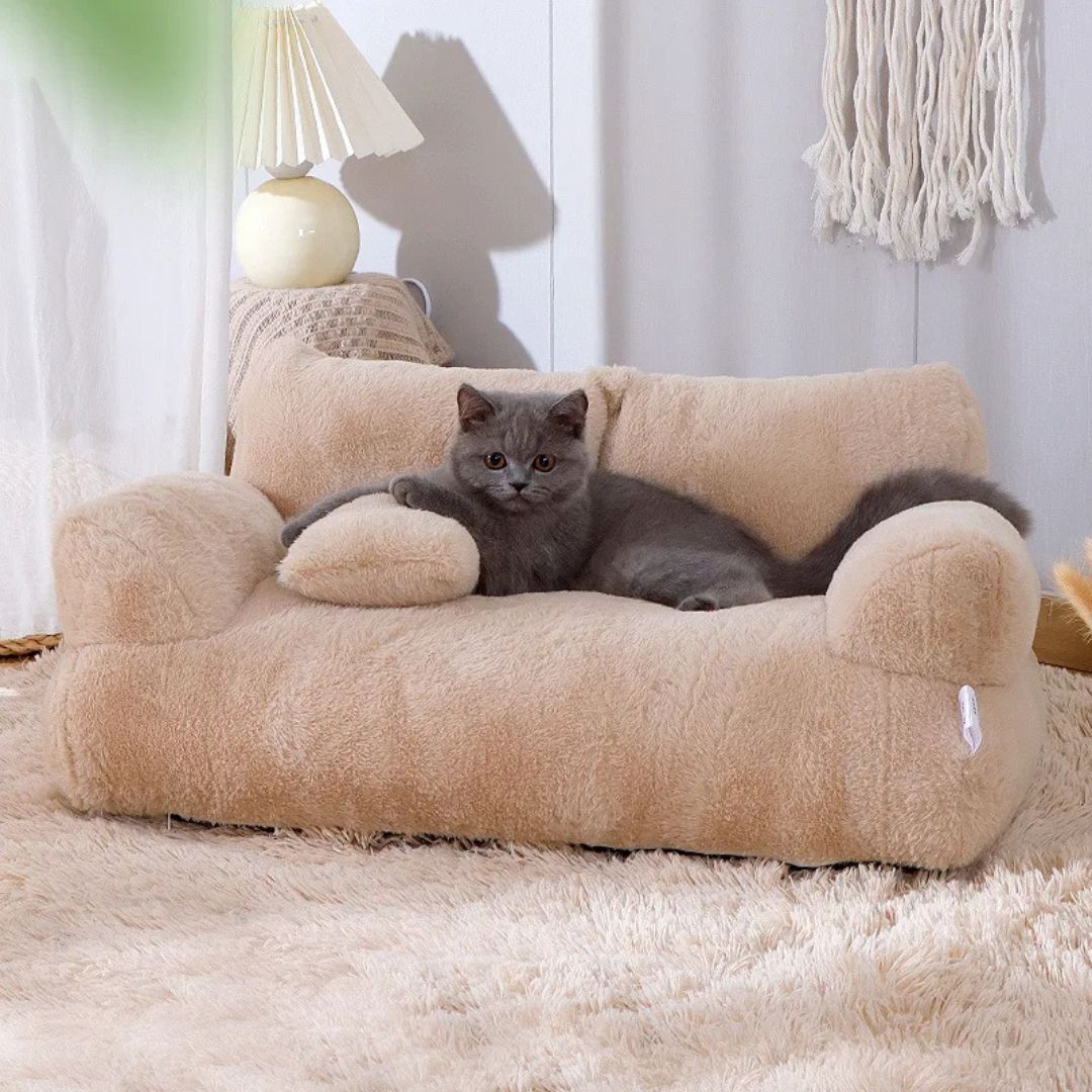 lit-pour-chat-deco.jpg