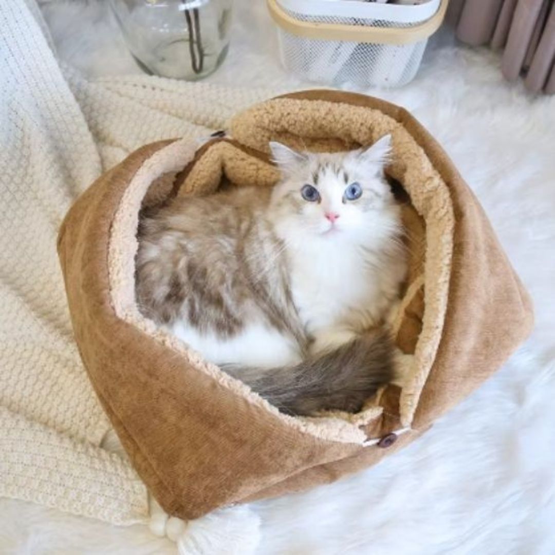 Cama para gato | Kittyzen™