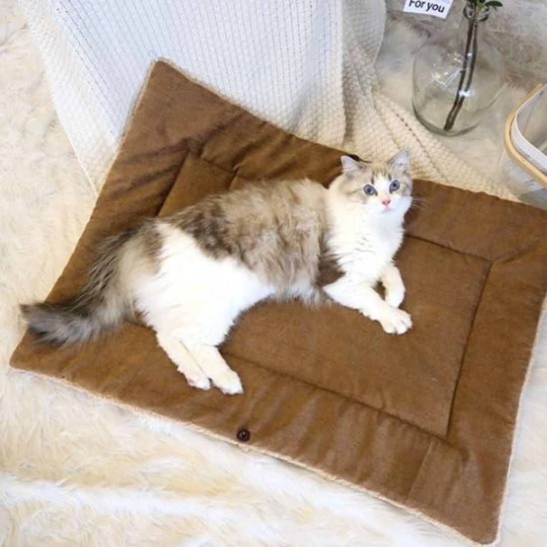 Cama para gato | Kittyzen™