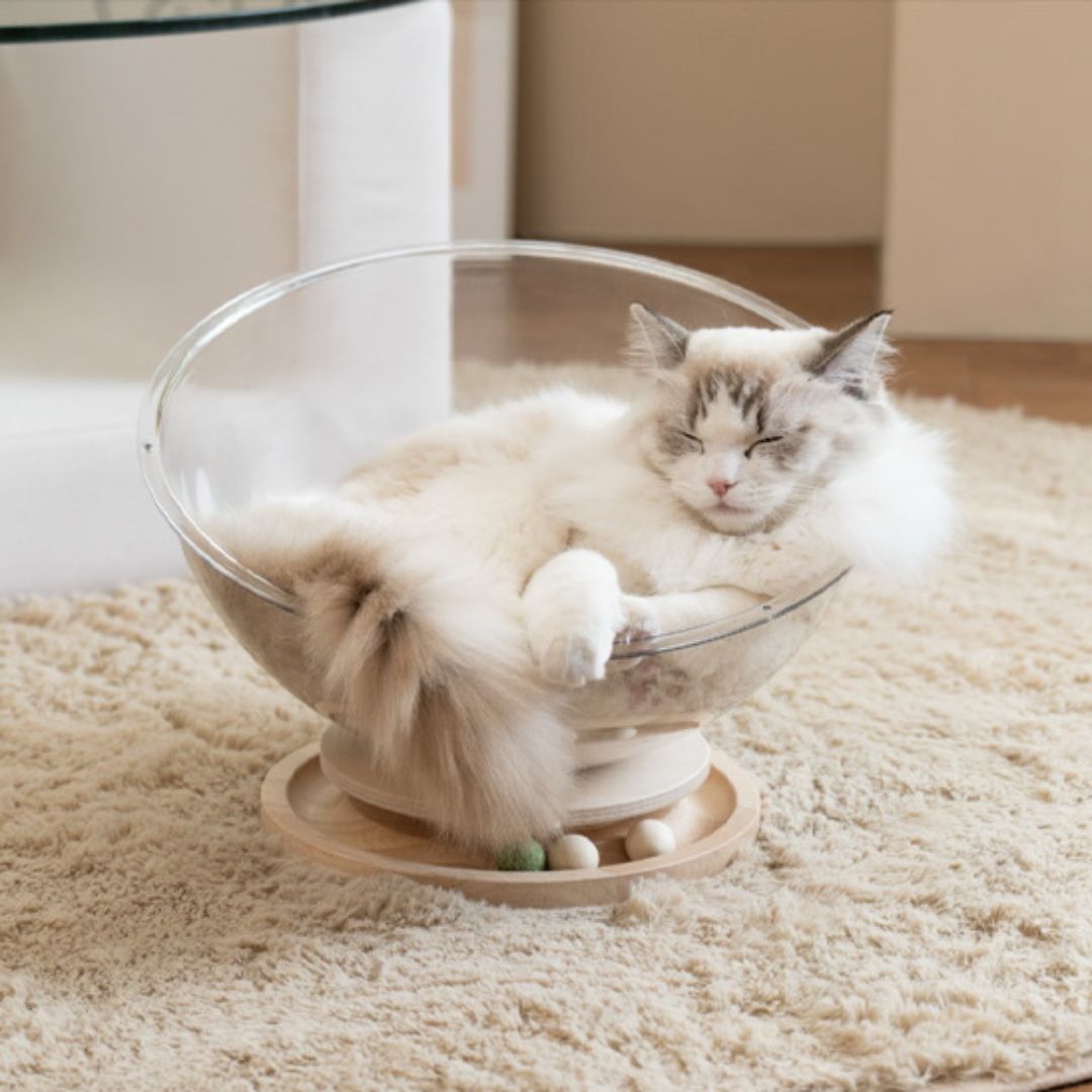 lit-pour-chat-sommeil_1aead33a-83e7-4fee-8421-9d72a7959e28.jpg