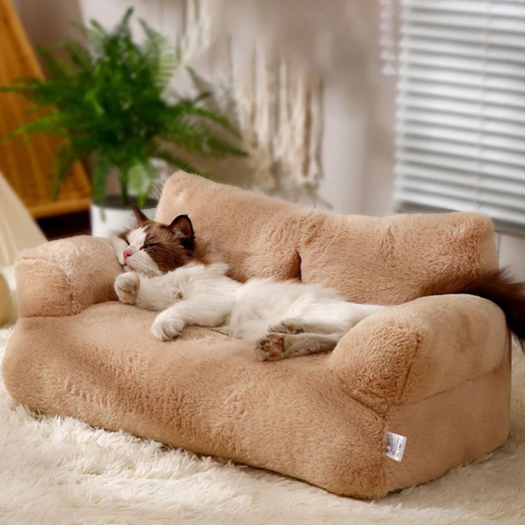 lit-pour-chat-sommeil_d732ba55-b35f-411e-b206-462c175a466a.jpg